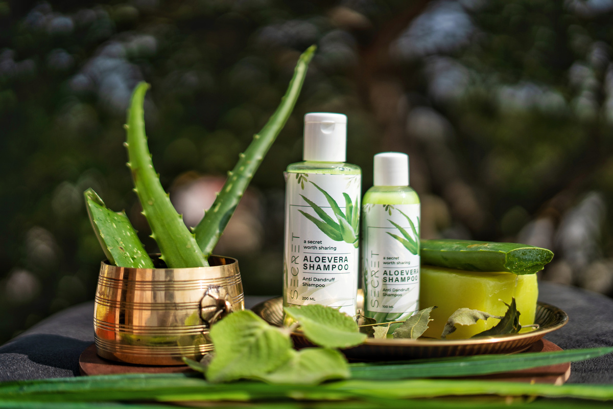 Green and White Bottles of Shampoo on Tray